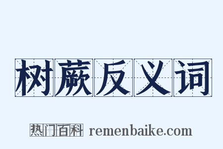 树蕨反义词是什么意思的图片